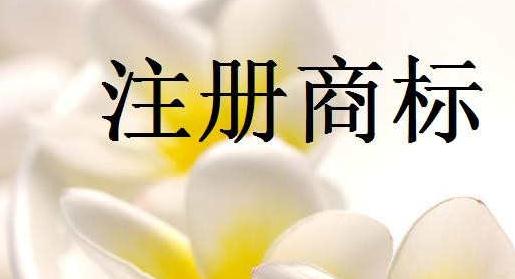 廣州商標注冊轉(zhuǎn)讓申請無效的情形